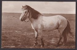 Ísland ca 1940?