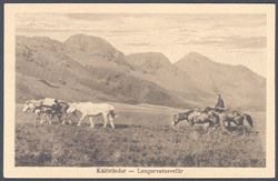 Iceland ca 1920