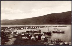 Ísland ca 1920s