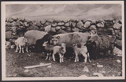 Iceland ca 1930