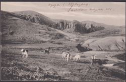 Ísland ca 1910