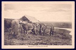 Iceland ca 1920