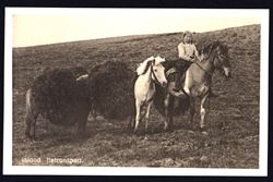 Iceland ca 1920s