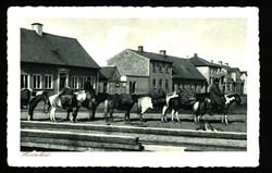 Iceland ca 1930s