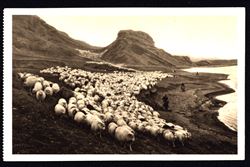 Ísland ca 1920s