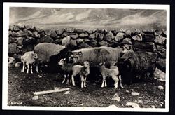 Iceland ca 1930s