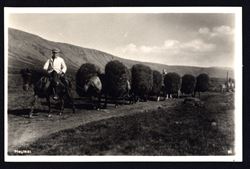 Ísland ca 1930s